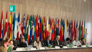 OSCE, Vienna: MIHR coordinator and persons who suffered from occupation spoke about the Russians’ crimes in the Kherson region and mechanisms for solving humanitarian issues