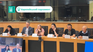 “We must be honest: the instruments created after the Second World War are not working. We need new ones,” — Olha Reshetylova at the European Parliament